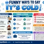 funny ways to say it’s cold