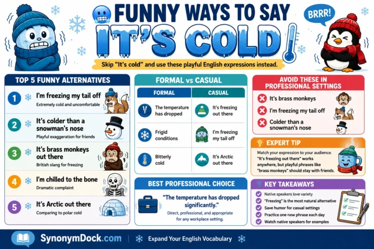 funny ways to say it’s cold